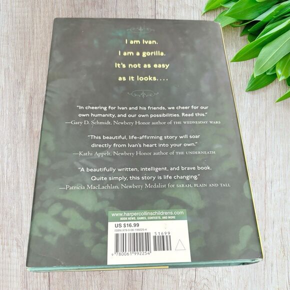 Book Collection - Multicolor - Picture 10 of 13